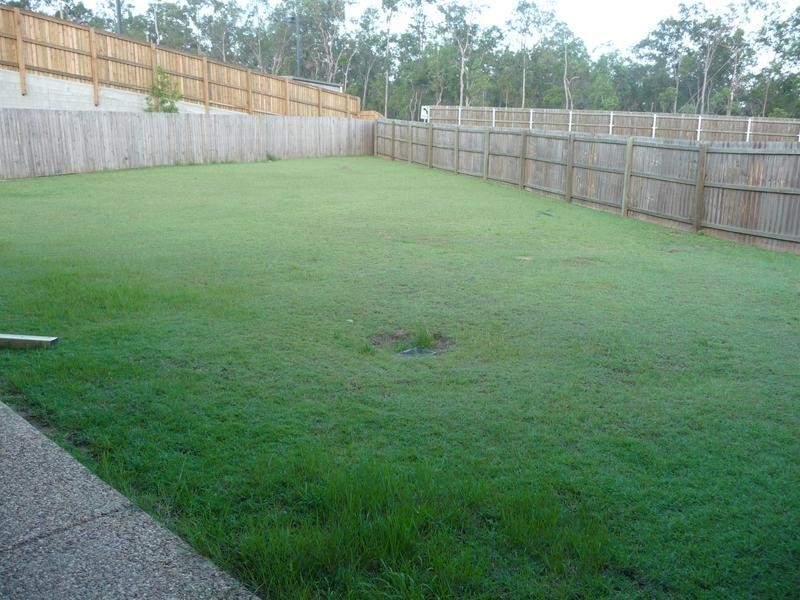 59 Collins Street, Collingwood Park QLD 4301
