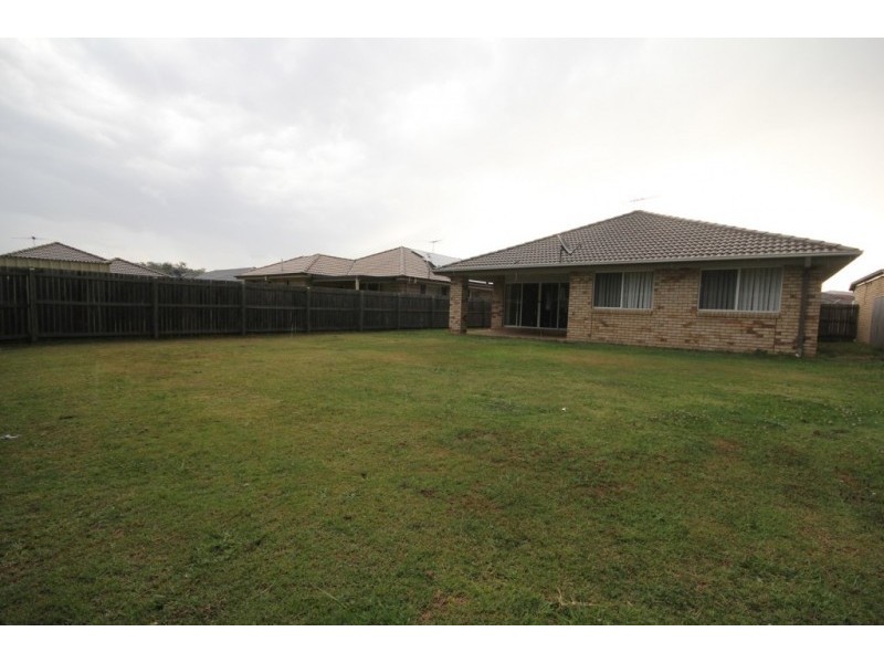 41 Collins St, Collingwood Park QLD 4301