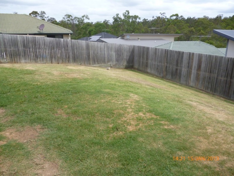 12 Caper Close, Springfield Lakes QLD 4300