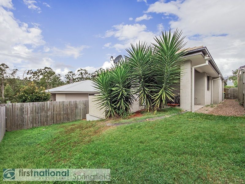 14 Alton Towers Street, Springfield Lakes QLD 4300