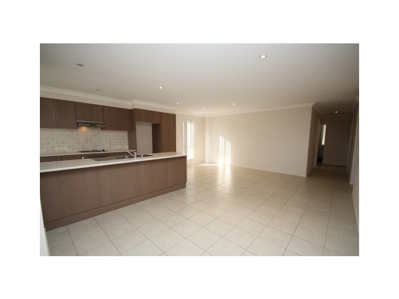 14 Congo Circuit, Springfield QLD 4300