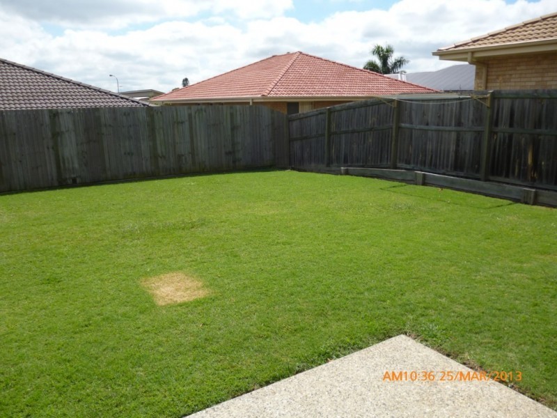 12 Acacia Close, Raceview QLD 4305