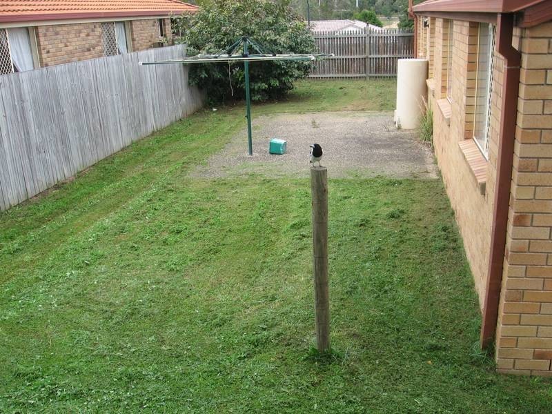 7 Aquamarine, Springfield QLD 4300