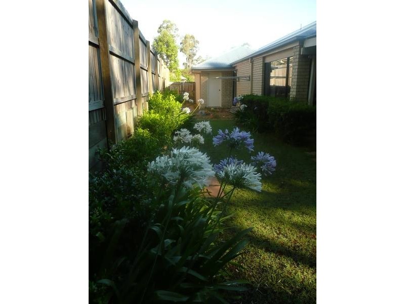 42 Berkshire Place, Springfield Lakes QLD 4300