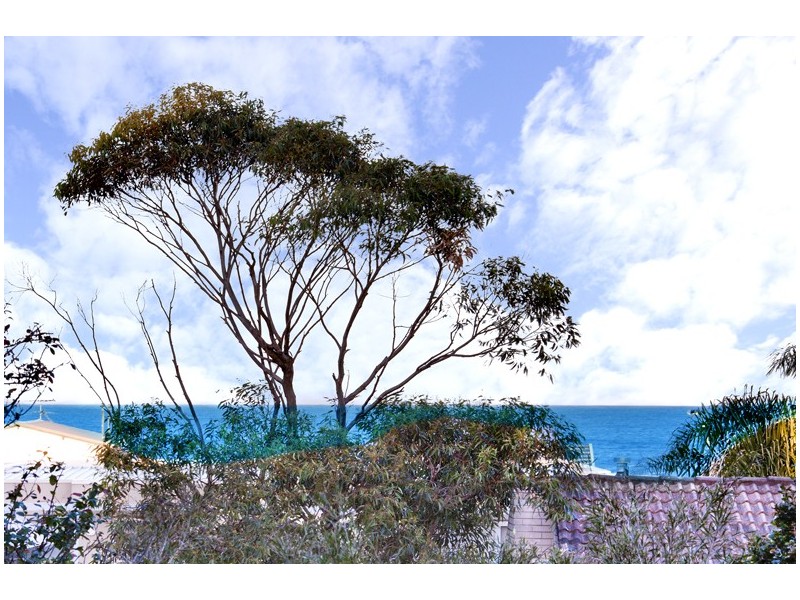 2/37a Park Street, Narrabeen NSW 2101