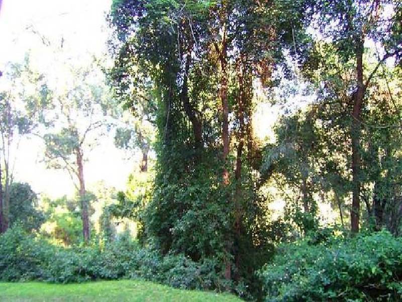 Walana Cres, Mona Vale NSW 2103