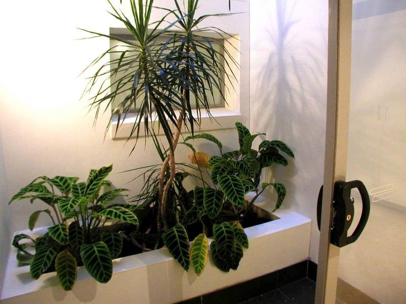 5 Bungan Street, Mona Vale NSW 2103