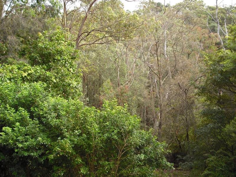 10 Yoogali Terrace, Blaxland NSW 2774