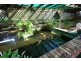 184 River Road, Leonay NSW 2750