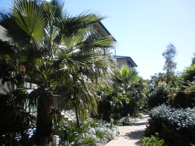 19/7-9 Regentville Road, Penrith NSW 2750