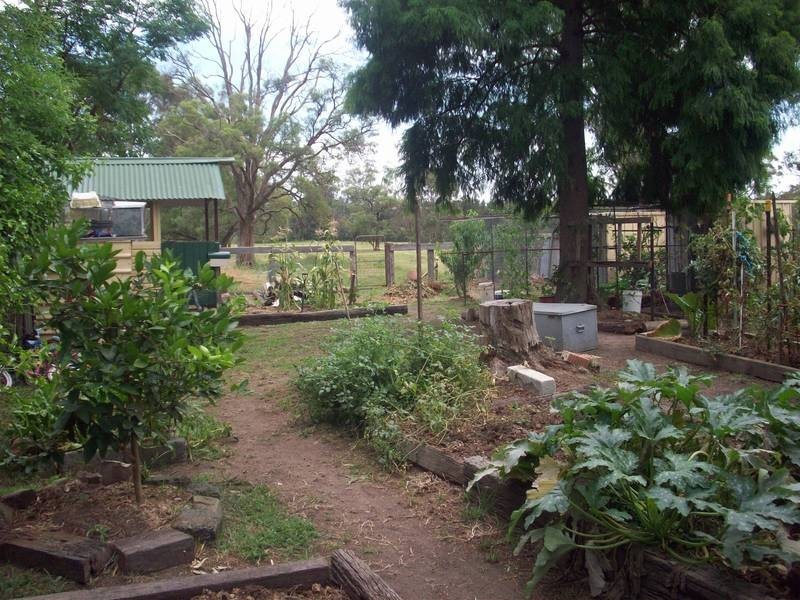 153 Harle Street, Abermain NSW 2326