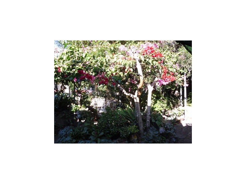 196 Mathieson Street, Bellbird NSW 2325