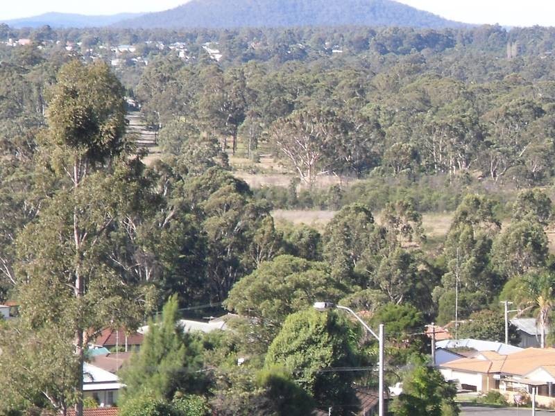 53 Clare Street, Cessnock NSW 2325