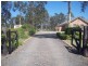 6 Grey Gum Drive, Weston NSW 2326