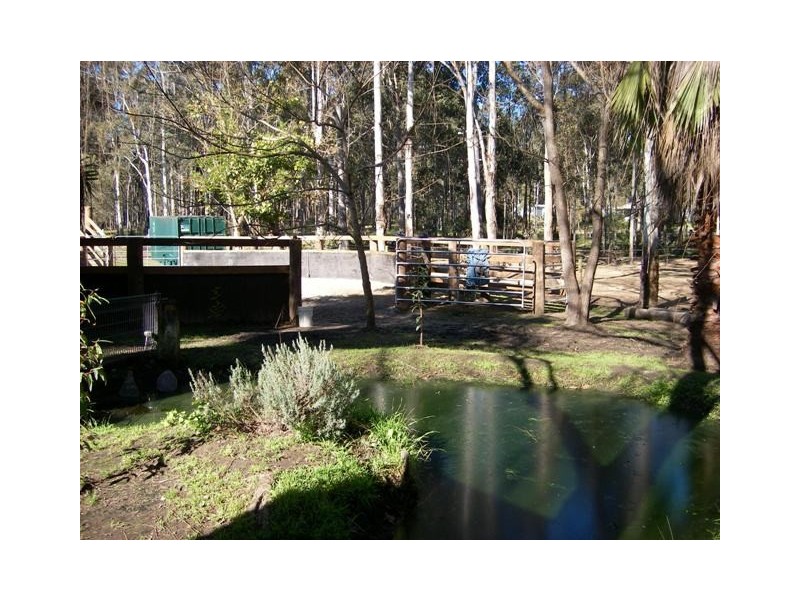 16 Ellalong Road, Pelton NSW 2325