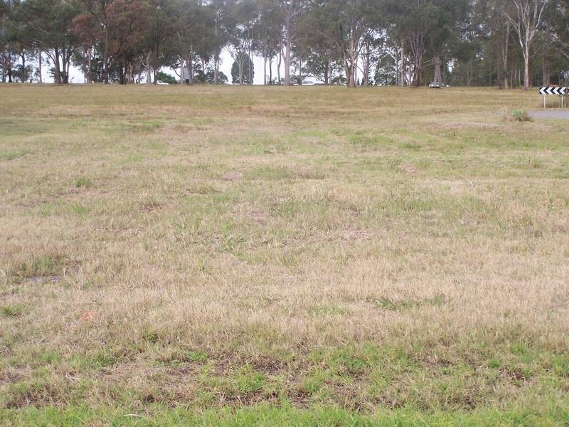 69 Radford Street, Heddon Greta NSW 2321