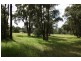 8 Tunnel Road, Cessnock NSW 2325