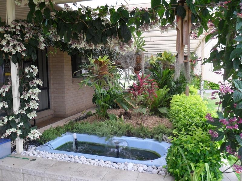 58 Radford Street, Cliftleigh NSW 2321