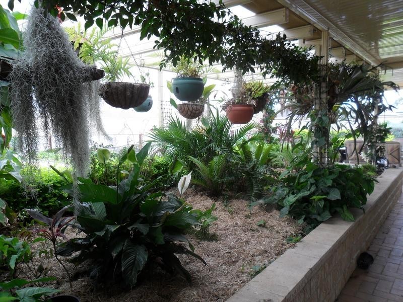 58 Radford Street, Cliftleigh NSW 2321