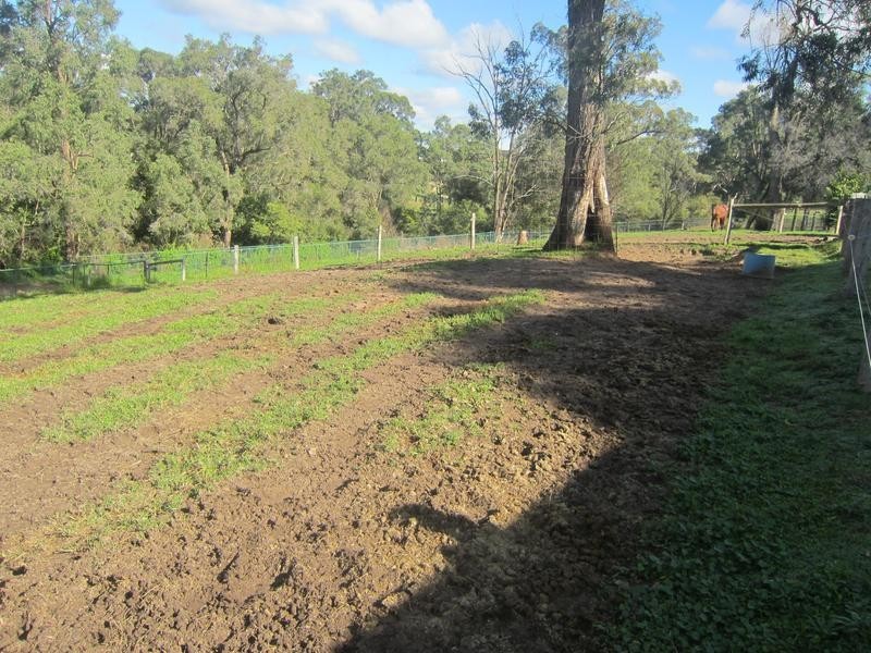 92 Government Road, Weston NSW 2326