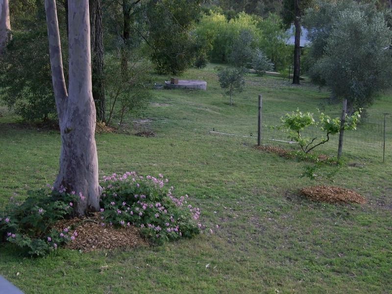 54 Jacaranda Grove, Elrington NSW 2325