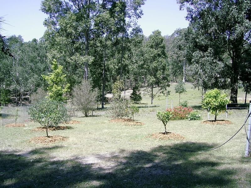 54 Jacaranda Grove, Elrington NSW 2325