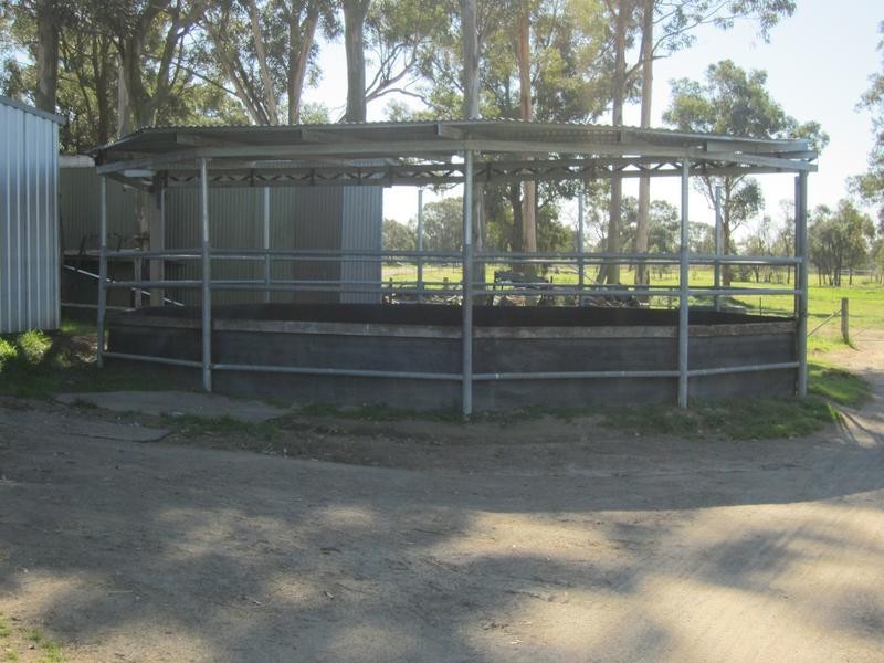 220 Sawyers Gully Rd, Sawyers Gully NSW 2326