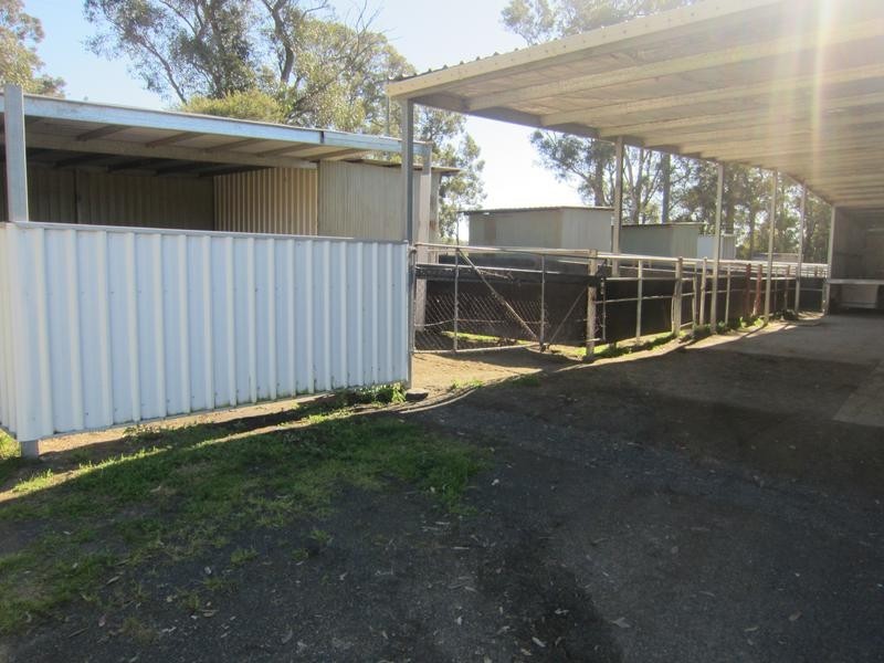 220 Sawyers Gully Rd, Sawyers Gully NSW 2326