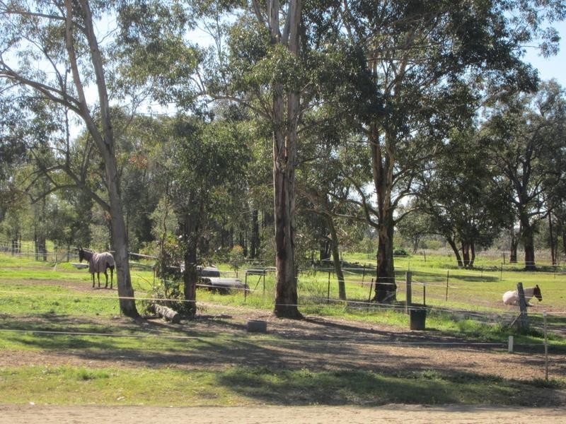 220 Sawyers Gully Rd, Sawyers Gully NSW 2326