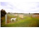210 Frame Dr, Sawyers Gully NSW 2326