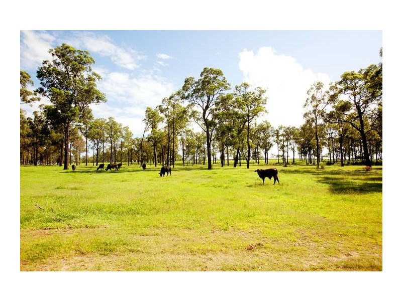 60 Metcalfe Lane, Sawyers Gully NSW 2326