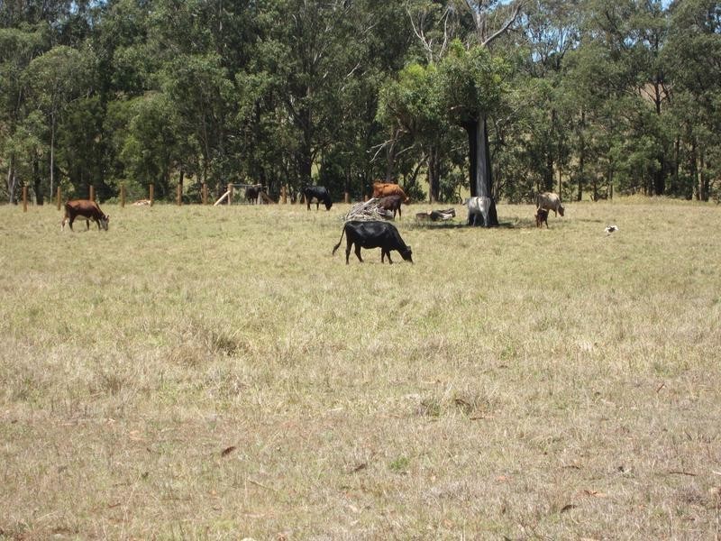 Lot 3,  New Street, Mulbring NSW 2323