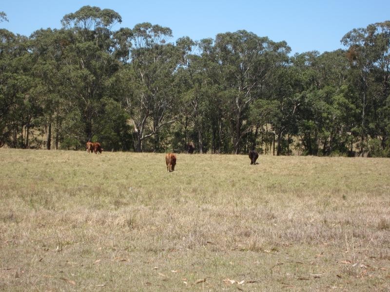 Lot 3,  New Street, Mulbring NSW 2323