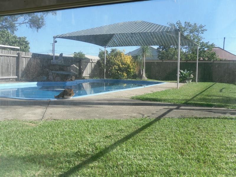 105 Cessnock Rd, Weston NSW 2326