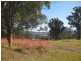 Lovedale NSW 2325