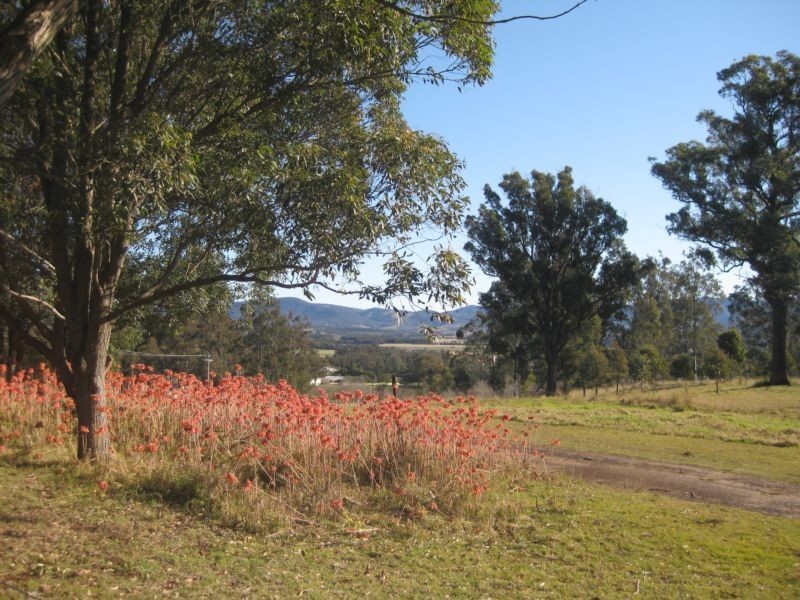 Lovedale NSW 2325