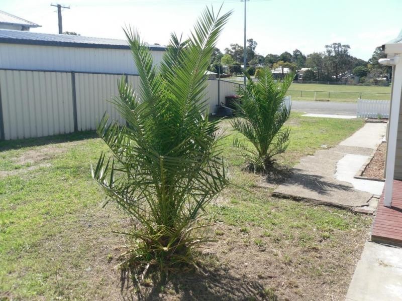 6 Hebburn Street, Pelaw Main NSW 2327