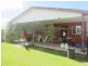 31 Appleton Avenue, Weston NSW 2326