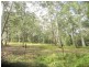 1480 Leggetts Drive, Brunkerville NSW 2323