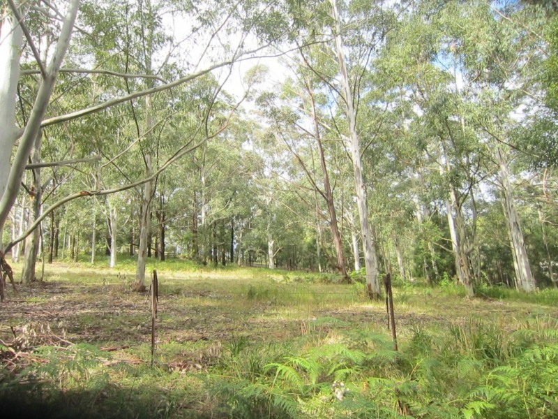1480 Leggetts Drive, Brunkerville NSW 2323