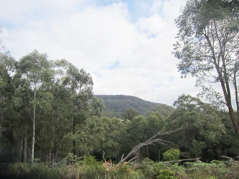 1480 Leggetts Drive, Brunkerville NSW 2323