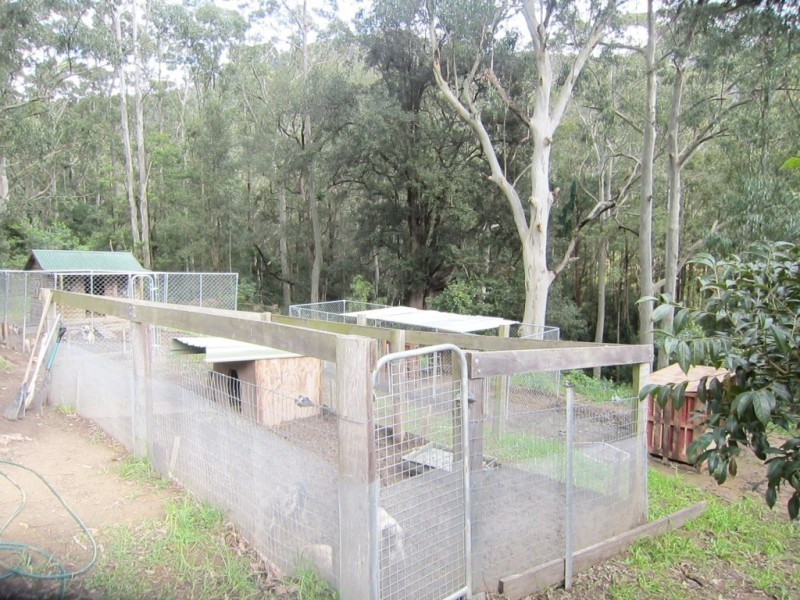 1480 Leggetts Drive, Brunkerville NSW 2323