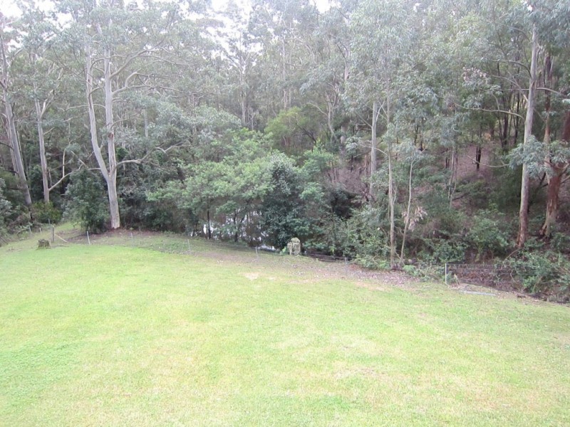 1480 Leggetts Drive, Brunkerville NSW 2323