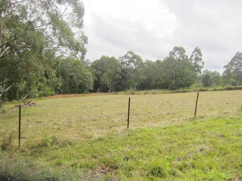 1480 Leggetts Drive, Brunkerville NSW 2323