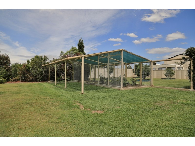 56 Forbes Crescent, Cliftleigh NSW 2321
