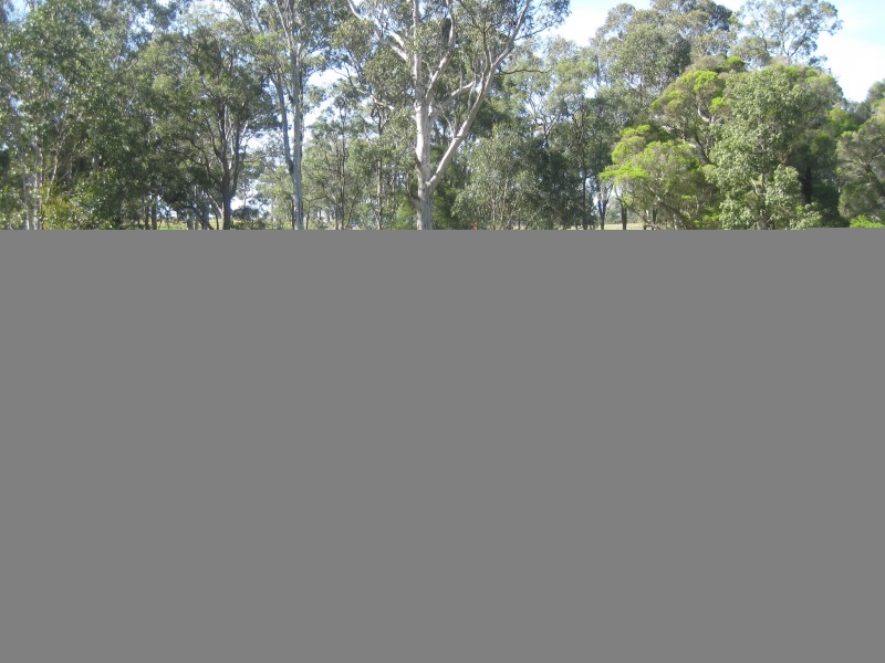 Lot 4 New Street, Mulbring NSW 2323