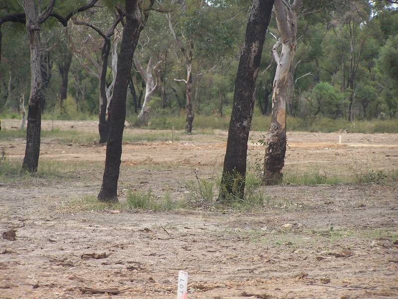 Heddon Glen Estate, Heddon Greta NSW 2321