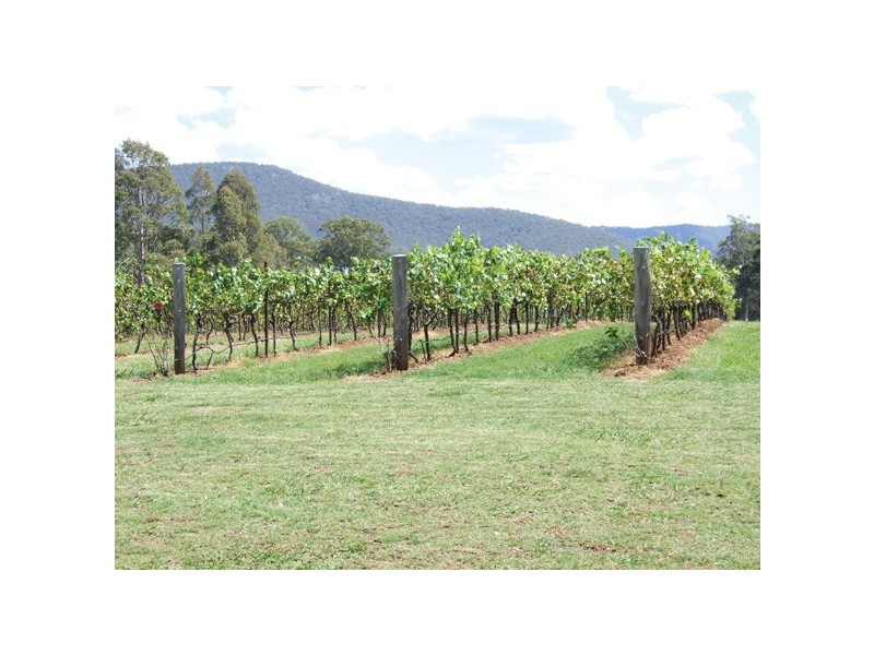 85 Marrowbone Road, Pokolbin NSW 2320