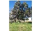 169-171 Mt Vincent Road, Mulbring NSW 2323