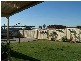 41 Clift Street, Heddon Greta NSW 2321
